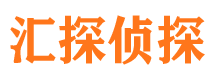 双城市私家侦探